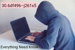 30.6df496–j261x5: The Complete Guide to Understanding System Identifier Codes